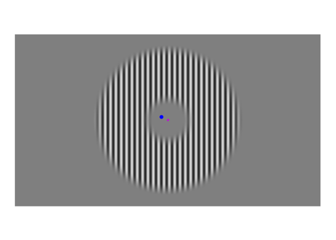 Time course of fixations from Figure 1. The blue dot shows where the participant looked at each moment. Fixations were recorded at 1000 Hz, but this video has been downsampled to 10 Hz.